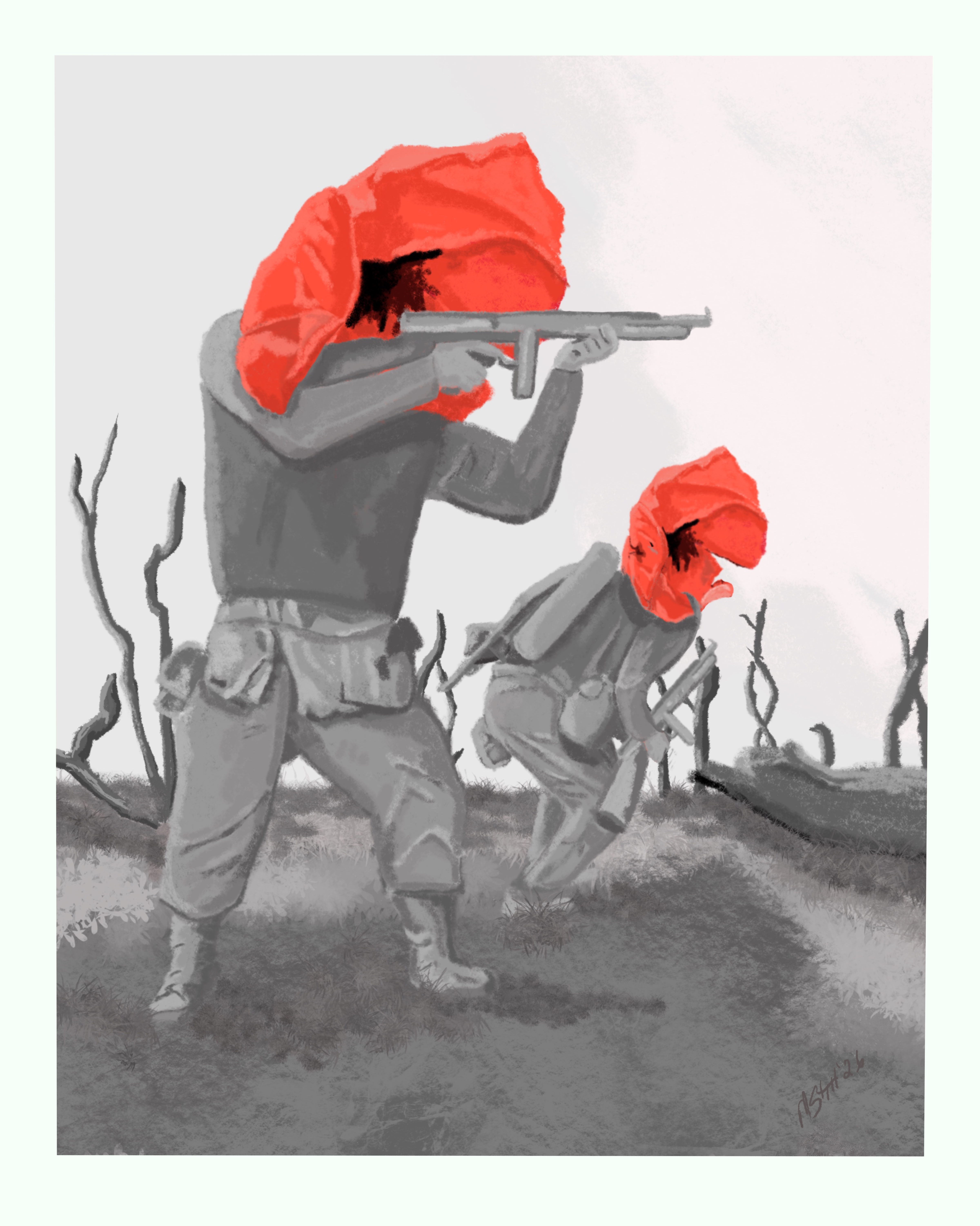 FIELD ILLUSTRATION - THE POPPIES