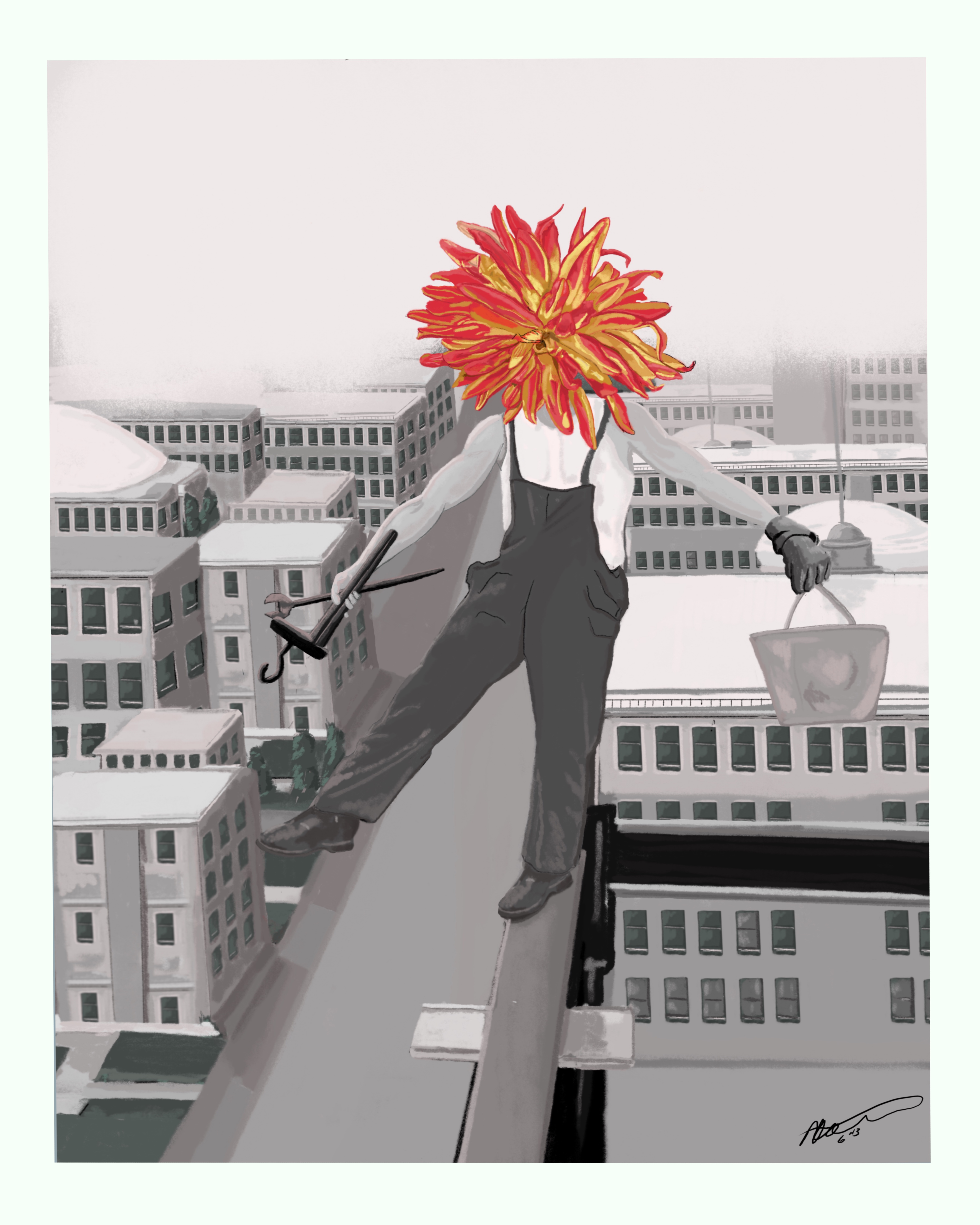 FIELD ILLUSTRATION - THE SKY FLOWER